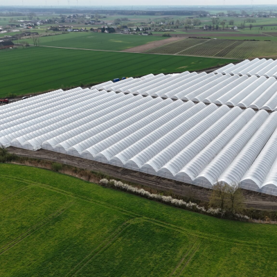 6-hektarow-malin-w-naszych-tunelach